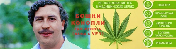 винт Нея