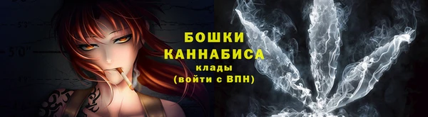 винт Нея