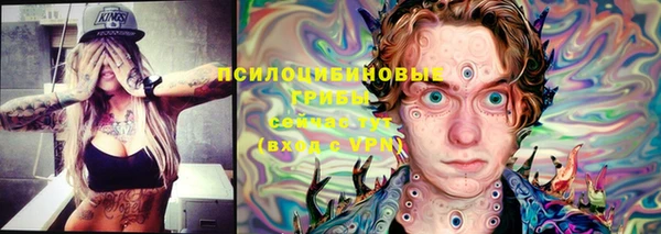 соль ск Нефтекумск