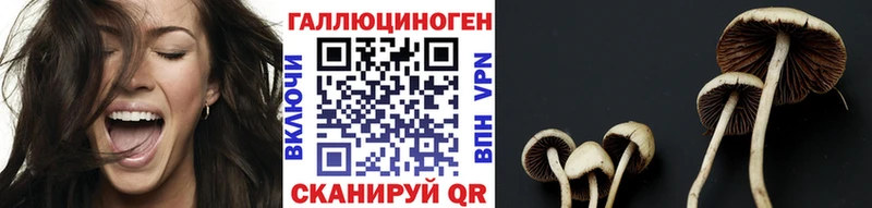 Псилоцибиновые грибы Cubensis  закладки  Черепаново 