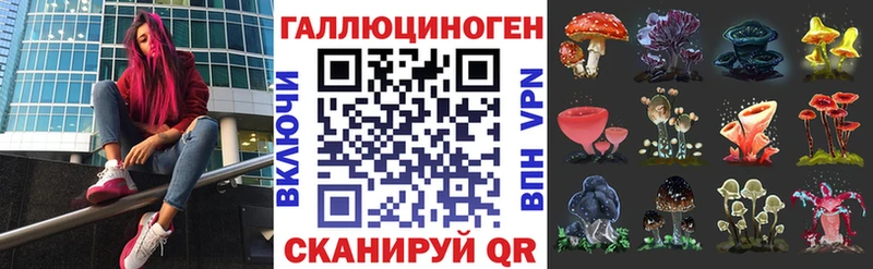 Псилоцибиновые грибы Cubensis Черепаново